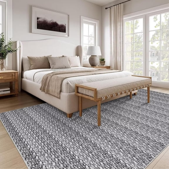 Hasoo Rugs for Living Room 5' x 7' Washable Area Rug Non Slip Accent Rug Modern Solid Print Carpet Rug Low Pile Throw Rug for Dining Room, Dark Gray