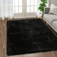 thumbnail image 1 of Hasoo Shag Area Rug 6' x 9' Indoor Plush Fluffy Rugs Shaggy Carpet Rugs for Bedroom Living Room, Black, 1 of 8