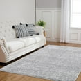 thumbnail image 1 of Hasoo Shag Bedroom Rugs 4' x 6' Area Rugs Indoor Non-Slip Nursery Rugs, Silver, 1 of 7
