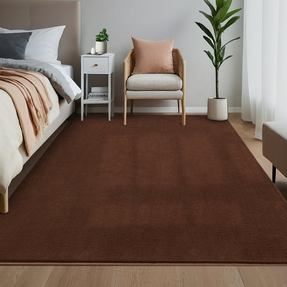 Hasoo Soft Fluffy Rug 5' x 7' Area Rug for Living Room Washable Shaggy Rug Non Slip Modern Solid Brown Indoor Carpet