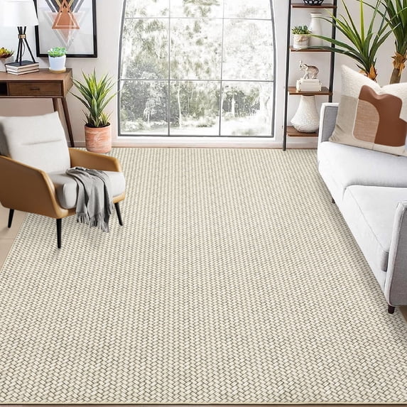 Hasoo Washable Area Rug 5x7 Rug for Living Room Modern Solid Beige Braid Printed Floor Cover Carpet for Home Decor