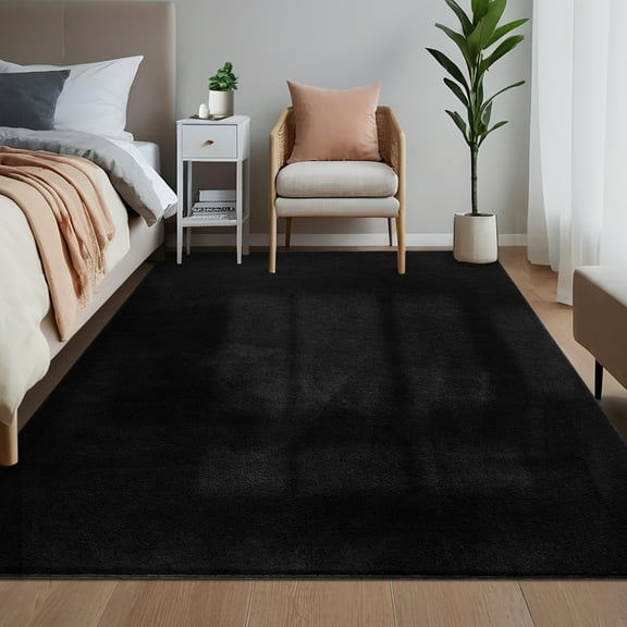 Hasoo Washable Area Rug Modern Minimalist Black Rug with Non Slip Backing Soft Fluffy Living Room Carpet