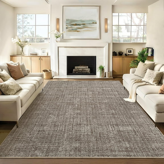 Hasoo Washable Living Room Area Rug 5x7 Modern Solid Non-Slip Soft Low Pile Indoor Brown Neutral Carpet
