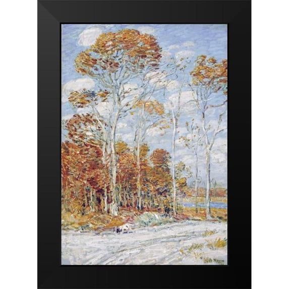 Hassam, Childe 18x24 Black Modern Framed Museum Art Print Titled - The Hawks Nest