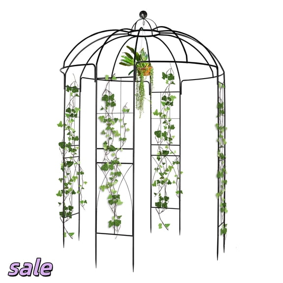 Hassch 10.2ft Garden Arch Arbor for Climbing Plants, Iron Outdoor Trellis Archway for Lawn, Patio, Ceremony Backyard Decoration, Black