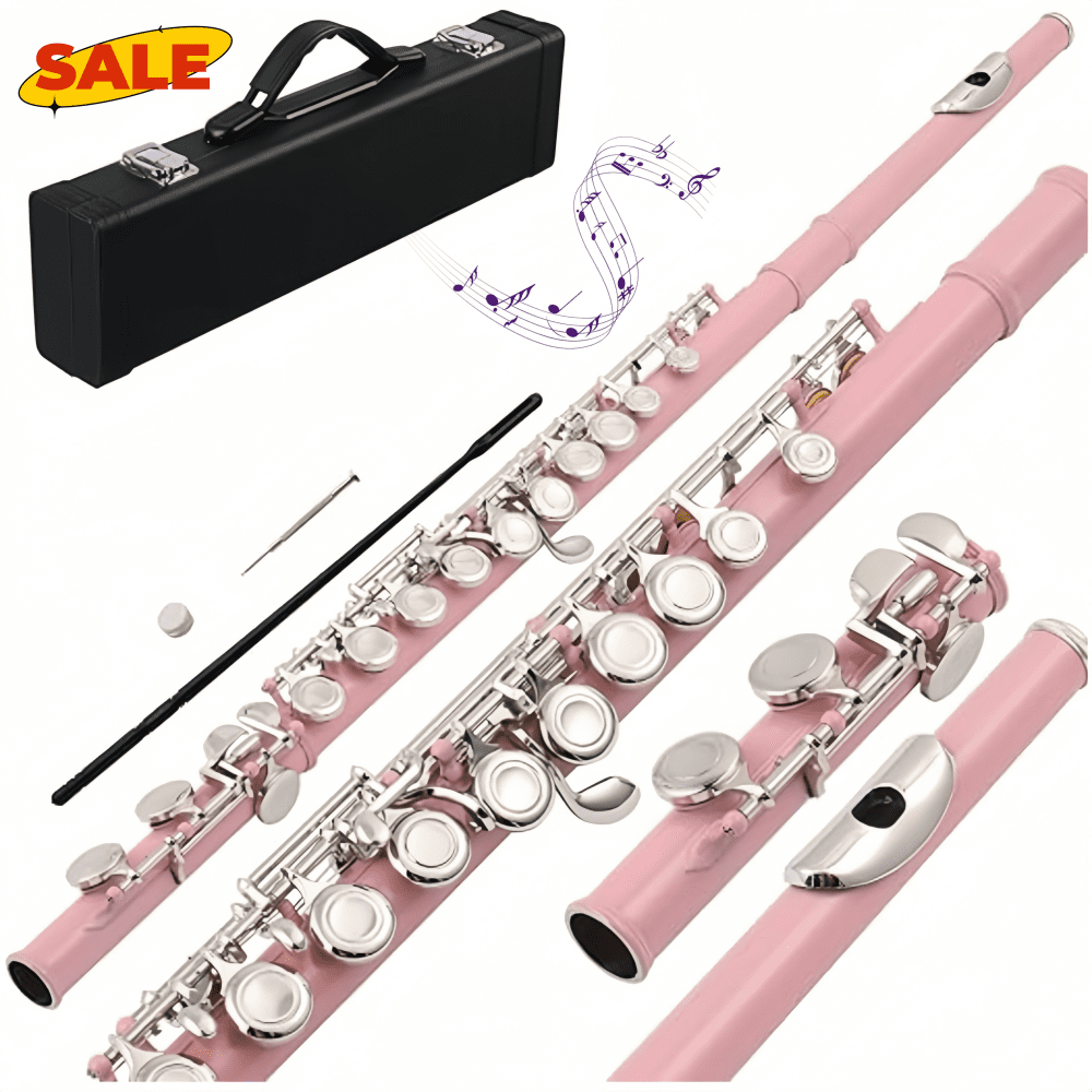 Hassch 16 Key Closed Hole C Flute with Case, Beginners Kit with Cloth, Screwdriver, Lubricant and Cleaning Rod for Learning, Pink