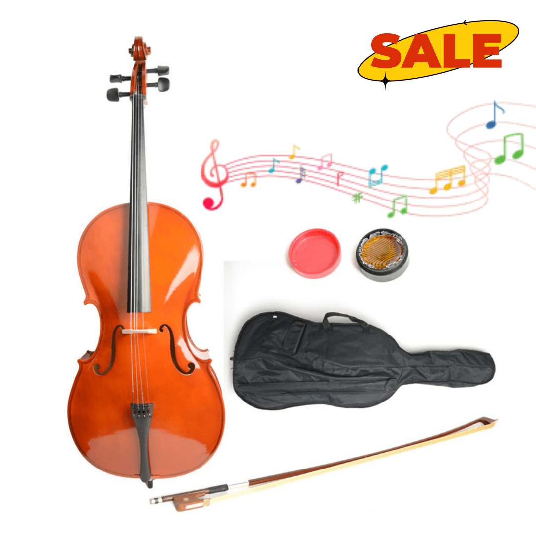Hassch 4/4 Acoustic Cello with Case, Bow and Rosin for Beginner Adults, Retro Color