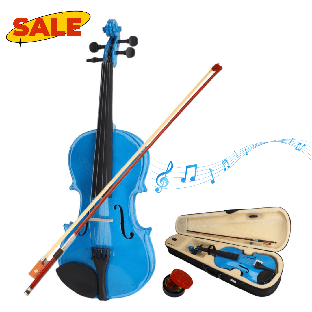 Hassch 4/4 Acoustic Violin, Fiddle Set for Beginner with Case, Bow and Rosin, Dark Blue