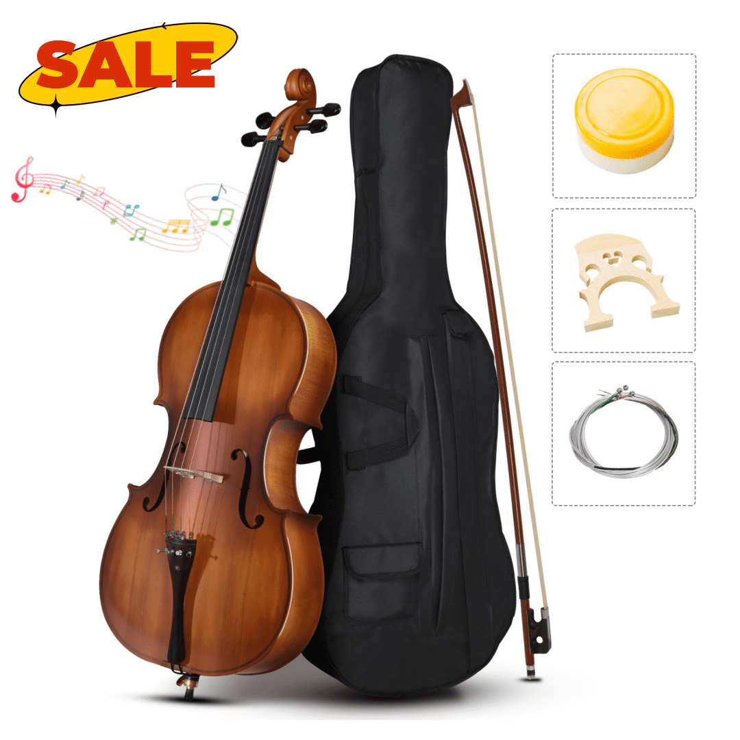Hassch 4/4 Cello with Bag, Full Size Acoustic Cello with Bow, Strings, Rosin, Bridge, Matte Natural Color