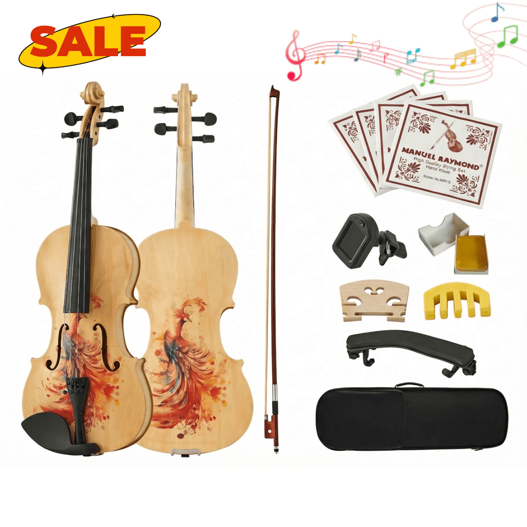 Hassch 4/4 Full Size Violin with Hard Case, Fiddle Set for Beginners with Bow, Rosin, Shoulder Rest and Extra Strings, Wood Color