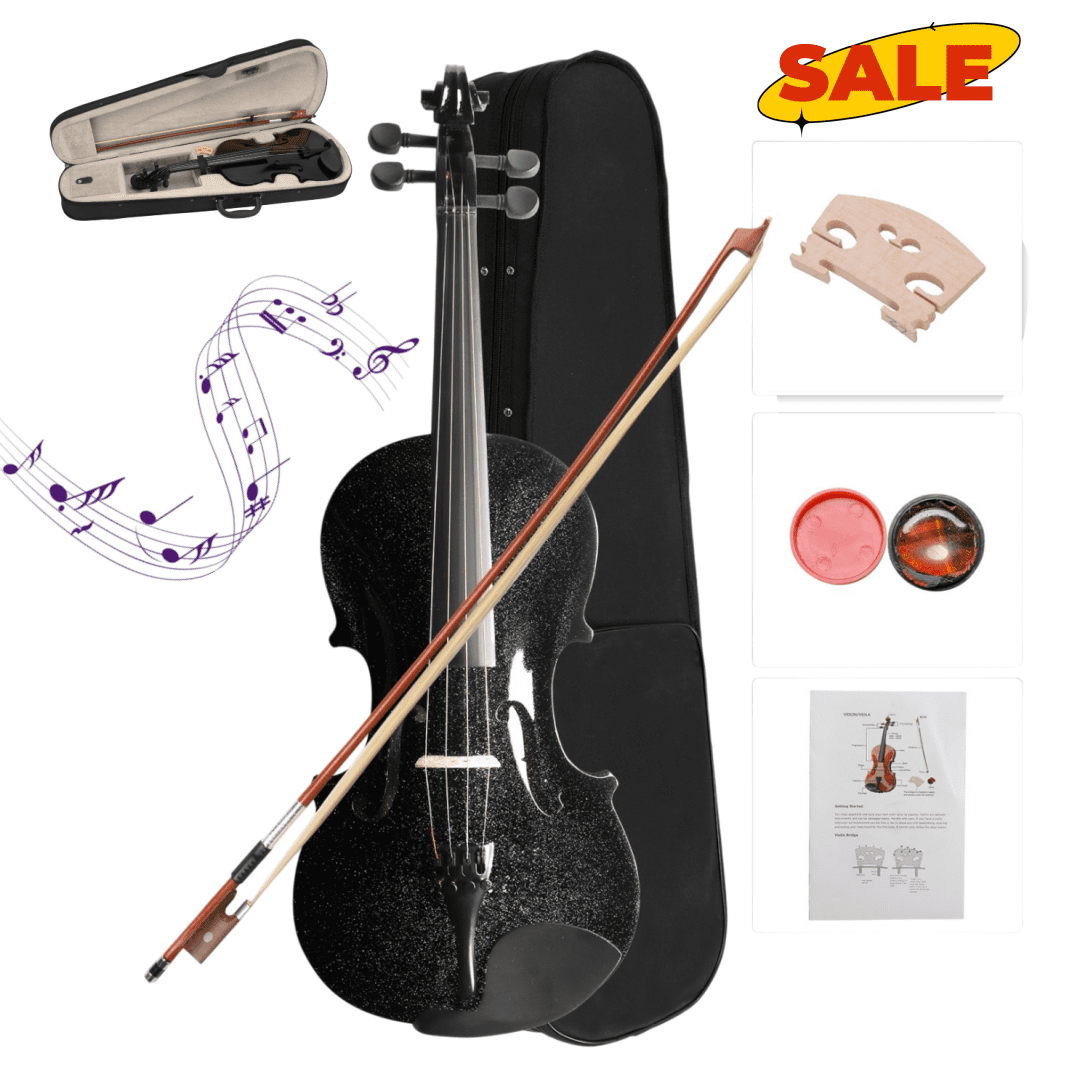 Hassch 4/4 Violin for Adults, Beginner Acoustic Violin with Case, Rosin and Bow, Black