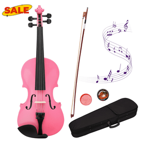 Hassch 4/4 Violin for Beginners, Fiddle Set for Adults, Acoustic Violin with Case, Rosin and Bow, String Musical Instrument, Pink