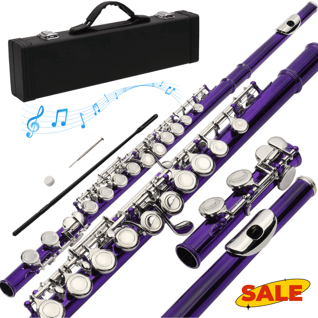 Hassch C Flute 16 Closed Hole for Beginners with Case, Cloth, Screwdriver, Lubricant and Cleaning Rod, Purple