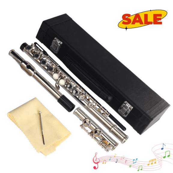 Hassch C Flute 16 Closed Hole with Case for Beginners, Flute Instrument with Cloth, Lubricant, Screwdriver and Cleaning Rod, Silver