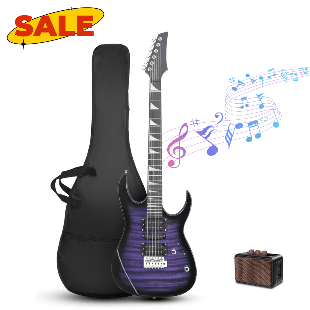 Hassch Electric Guitar, 39 inch Beginner Electric Guitar Kit with Amp, Bag, Strap, Capo, Cable, Plectrum, Tremolo Arm and Wrench Tool, Purple