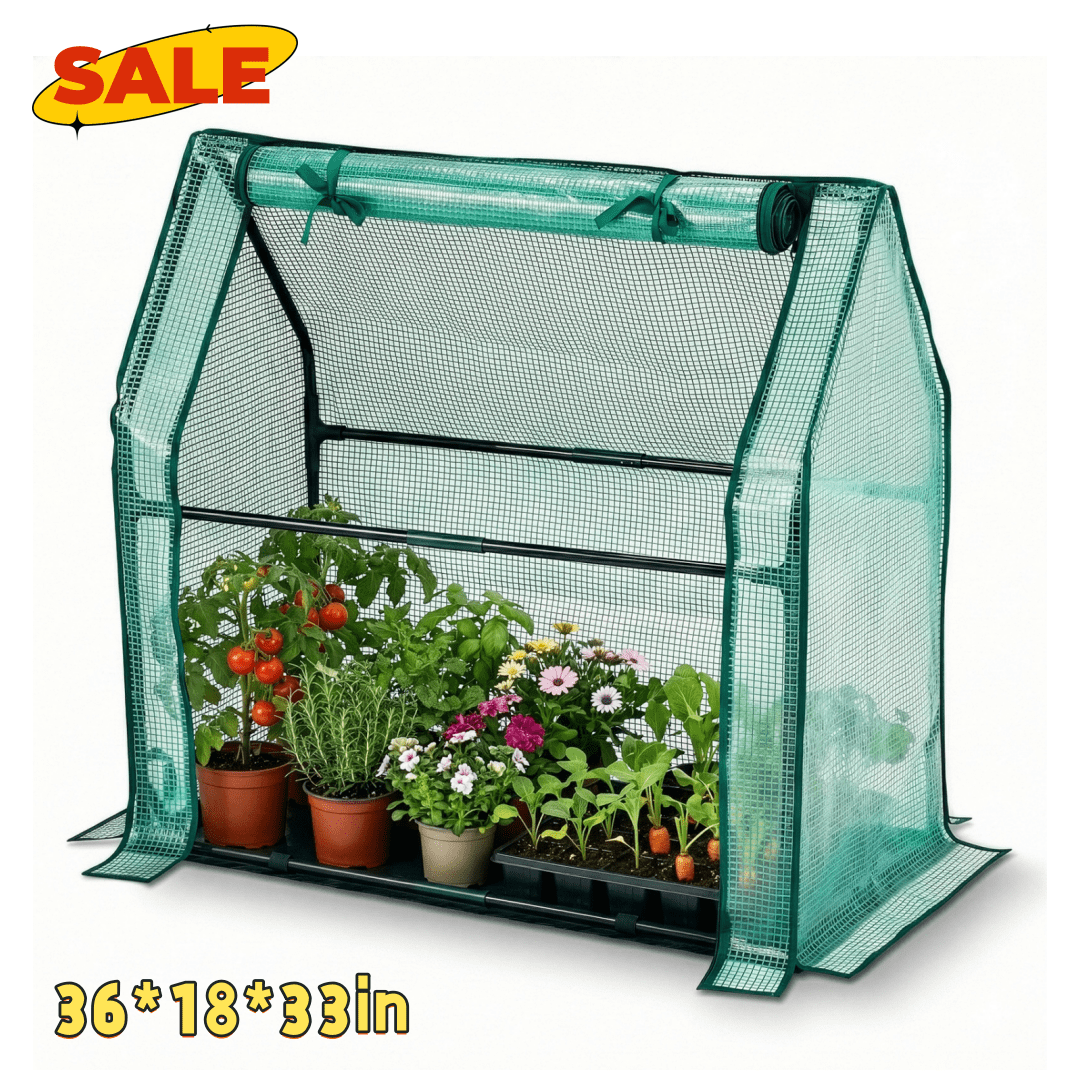 Hassch Indoor/Outdoor Mini Greenhouse, Small Green House with PE Cover and Roll-Up Zippered Door for Garden, Patio, Backyard, Green
