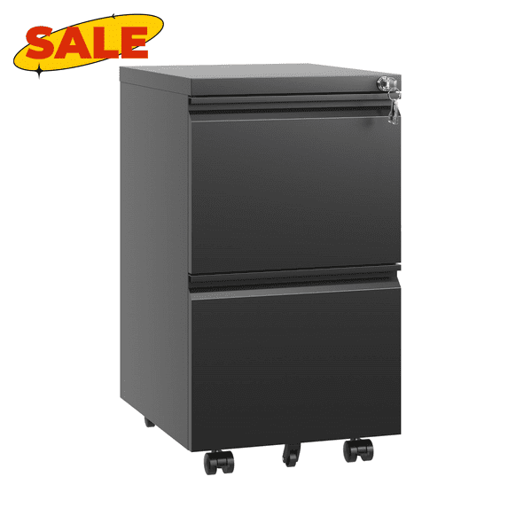 Hassch Mobile File Cabinet with Lock, 2-Drawer Metal Cabinet for Home Office, Rolling Filing Cabinet for Hanging Legal/Letter/A4 Size, Fully Assembled Except Wheels, Black