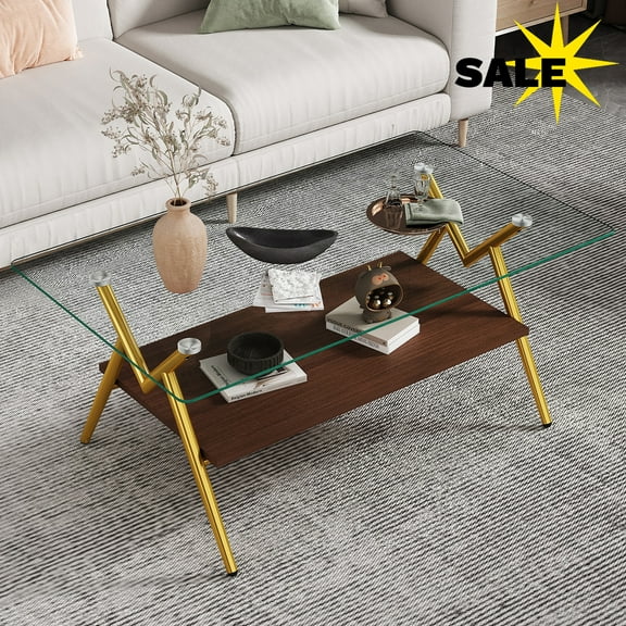 Hassch Modern Glass Coffee Table, 2-Tier Rectangle Center Table with MDF Shelf & Metal Frame, Contemporary Living Room Accent Table, Easy Assembly (Clear+Gold)
