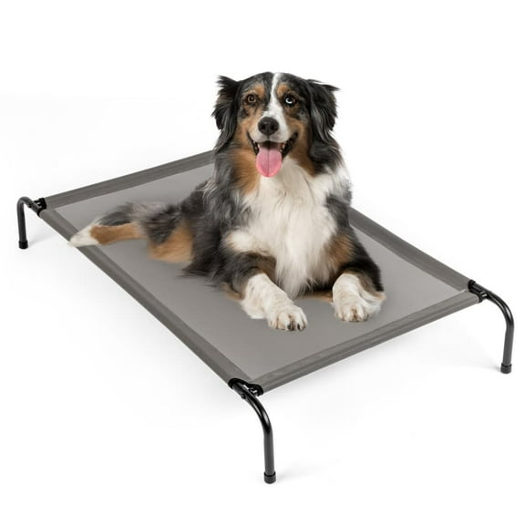 Hassch Outdoor Elevated Dog Cot, Breathable Raised Pet Bed with Metal Frame and Mesh Cover, 50x31 inch, Gray