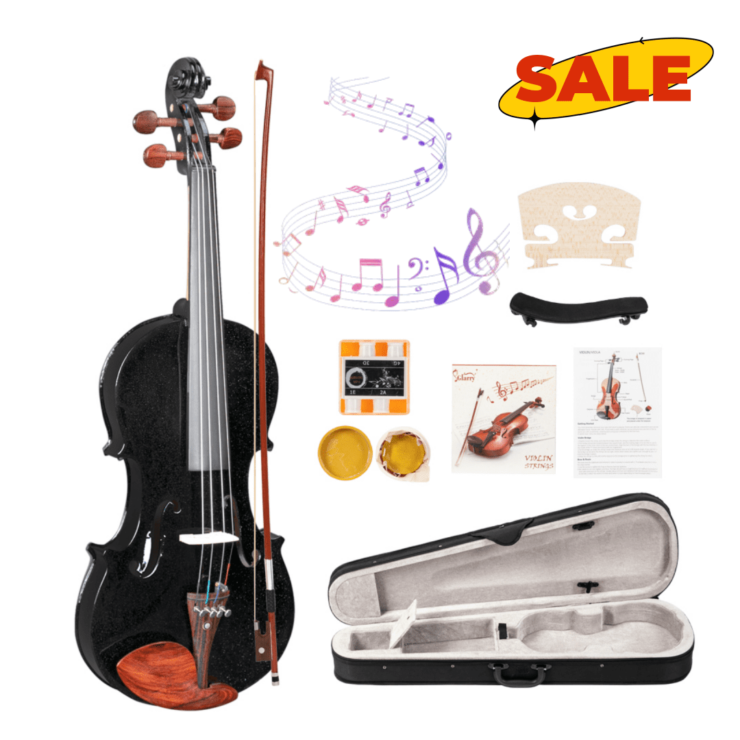 Hassch Violin 4/4, Acoustic Fiddle for Beginners with Case, Bow, Rosin, Strings, Turner, Wipe Cloth and Shoulder Rest, Black