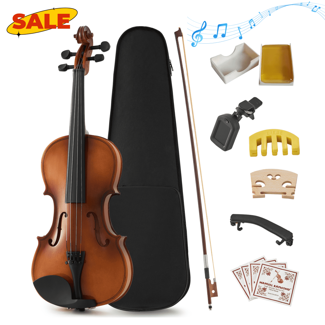 Hassch Violin 4/4 Full Size Set, Fiddle with Case, Bow, Rosin, Shoulder Rest and Extra Strings, Brown