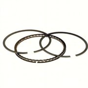 Hastings 2M6164005 Moly Ring Set - .005in. Oversize