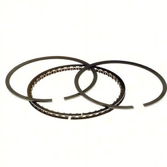 Hastings 6482020 Cast Ring Set (1200cc) - .020in. Oversize