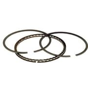 Hastings Mfg 6164010 Cast Ring Set - .010in. Oversize