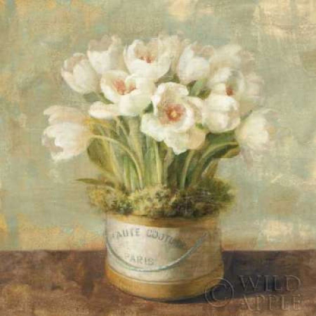 Hatbox Tulips - Wag Canvas Art - Danhui Nai (24 x 24)