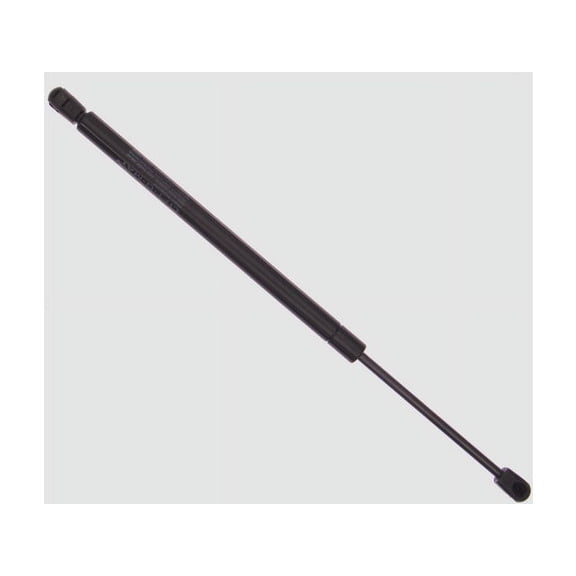 Hatch Strut - Compatible with 2000 - 2007 Ford Focus Hatchback 2001 2002 2003 2004 2005 2006