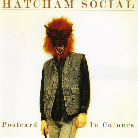 Hatcham Social - Postcard in Colours - Music & Performance - CD