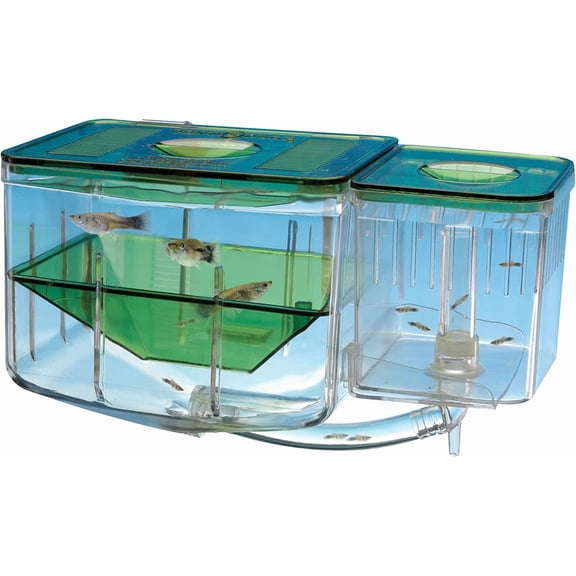 Hatchery Breeding Box for Your Aquarium - Help Protect Baby Fish from Predators