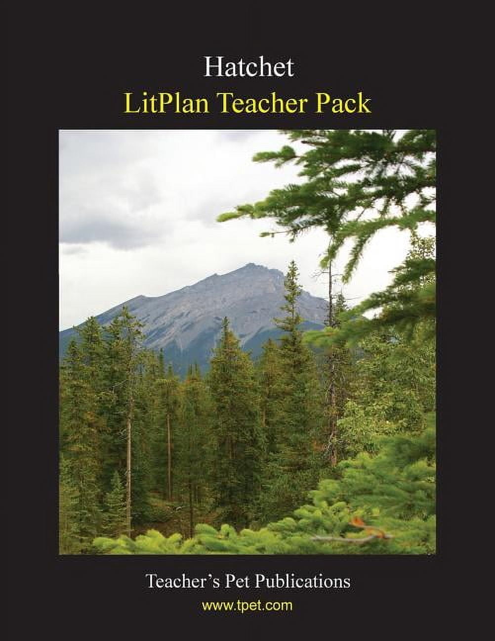 Litplan Teacher Pack: Hatchet, (Paperback)