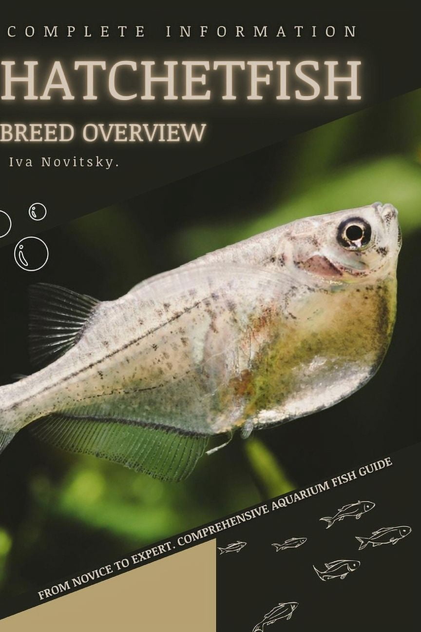 Hatchetfish: From Novice to Expert. Comprehensive Aquarium Fish Guide, (Paperback)