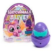 Hatchimals Alive, Neon Rainbow 1-Pack Surprise Figure in Egg, for Ages 3 and up Styles Vary