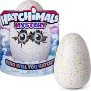 Hatchimals Mystery Egg, Hatch 1 of 4 Interactive Mystery Characters Styles May Vary, Multicolor