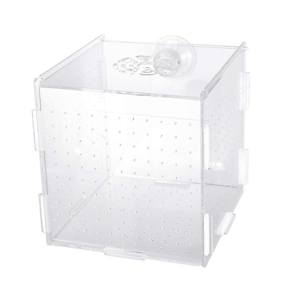 Hatching Box For Aquatic Enthusiasts Aquarium Use Size 15x15x16cm Transparent Style 1Pack