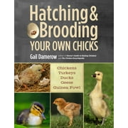 GAIL DAMEROW Hatching & Brooding Your Own Chicks - Paperback