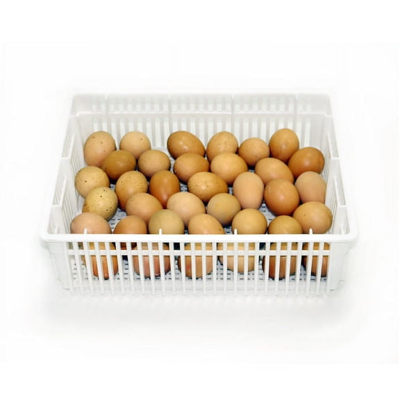 Hatching Egg Basket (35 Chicken Eggs), CS35Y, Durable, ABS Plastic, Fits Hatching Time HB Incubators