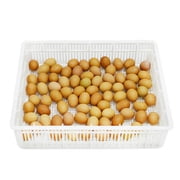 Hatching Egg Basket 80 Chicken Eggs, CS80Y, Durable, ABS Plastic, Fits Hatching Time T Incubators