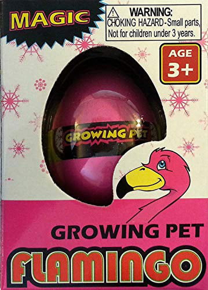 Hatching Flamingo Egg Growing Pet