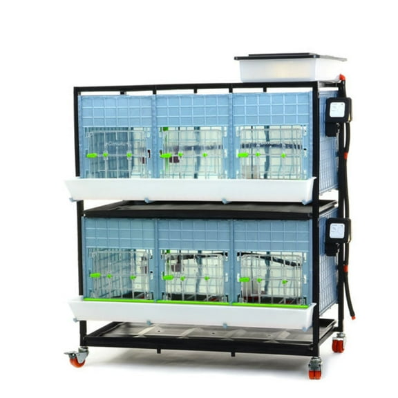 Hatching Time Chick Brooder - 2 Layer H: 15" (Power-Washable, Durable, ABS Plastic) | Cimuka