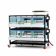 Hatching Time Chick Brooder - 2 Layer H 9.5" Power-Washable, Durable, ABS Plastic | Cimuka