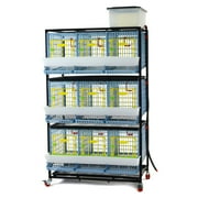 Hatching Time Chicken Cage - 3 Layer H 15 Power-Washable, Durable, ABS Plastic | Cimuka