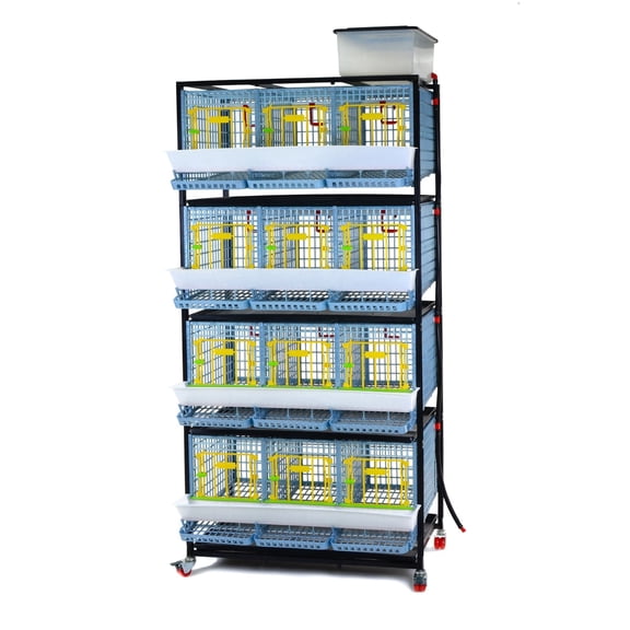 Hatching Time Chicken Cage - 4 Layer H: 15" (Power-Washable, Durable, ABS Plastic) | Cimuka