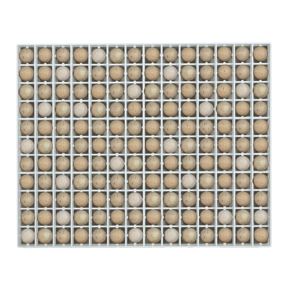 Hatching Time Egg Setter Tray for 156 Partridge Eggs, Durable ABS Plastic Incubator Tray, Cimuka Compatible, Washable, Easy to Clean Heavy-Duty