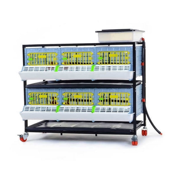 Hatching Time 2 Layer Grow Out Pen 9.5 Inch Tall Poultry Brooder Cage ABS Plastic Power-Washable Cimuka