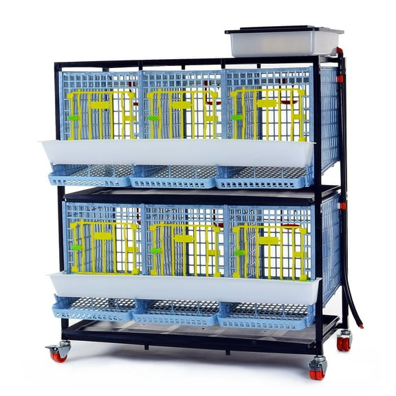 Hatching Time Partridge Cage - 2 Layer (Power-Washable, Durable, ABS Plastic) | Cimuka