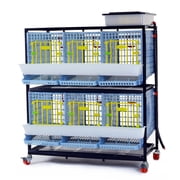 Hatching Time Partridge Cage - 2 Layer Power-Washable, Durable, ABS Plastic | Cimuka