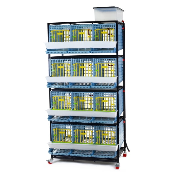 Hatching Time Partridge Cage - 4 Layer (Power-Washable, Durable, ABS Plastic) | Cimuka